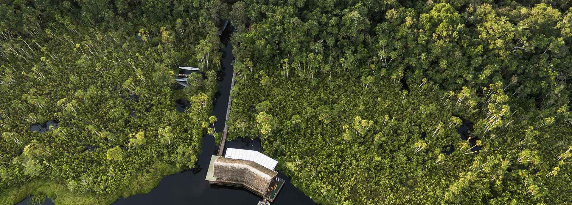 Sacha Lodge blends seamlessly into its surroundings that to the resident wildlife it’s just another part of the forest.