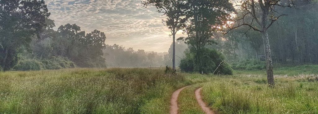 Like Africa in India at Mahua Kothi Jungle Lodge