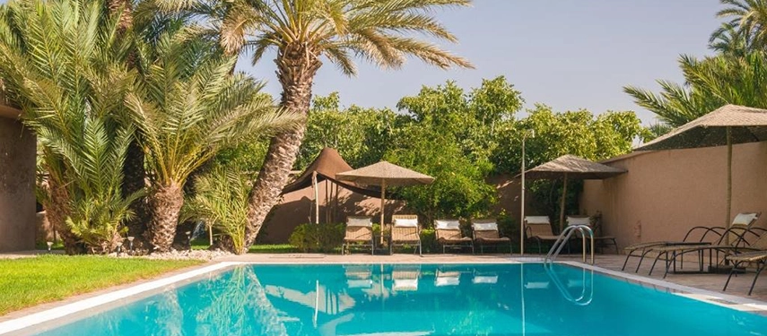 Palm-fringed swimming pool with sun loungers set against a clear blue sky.