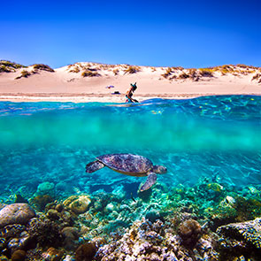 THERE'S NO PLACE LIKE HOME