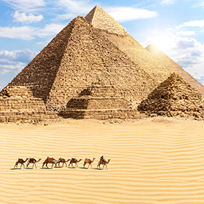 In the footsteps of pharaohs