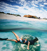 Person snorkelling off a beach in Western Australia