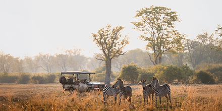 Game drive on a luxury safari in South Luangwa National Park, Zambia