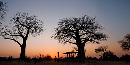 Kokoko Camp Sunset On Safari Camp In Ruaha, Tanzania