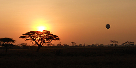 Masai Mara Hot-Air Balloon at Sunrise