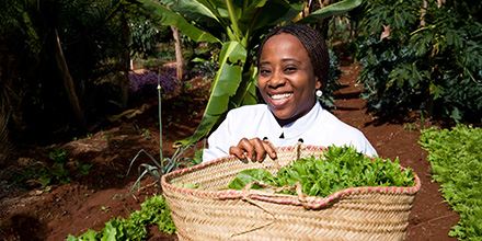Harvesting crops at Ngorongoro Lodge, Tanzania