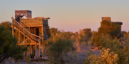 Skybeds platforms glowing in the soft light of dusk, surrounded by golden savannah.