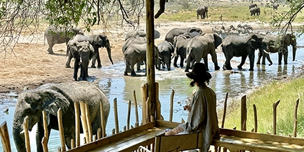 Guests watch a large herd of elephants gather at a waterhole from the shaded deck of Moela’s main lodge.