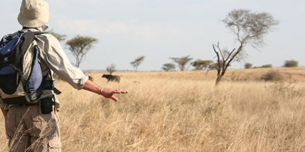 Serengeti walking safari, Ndutu Plains