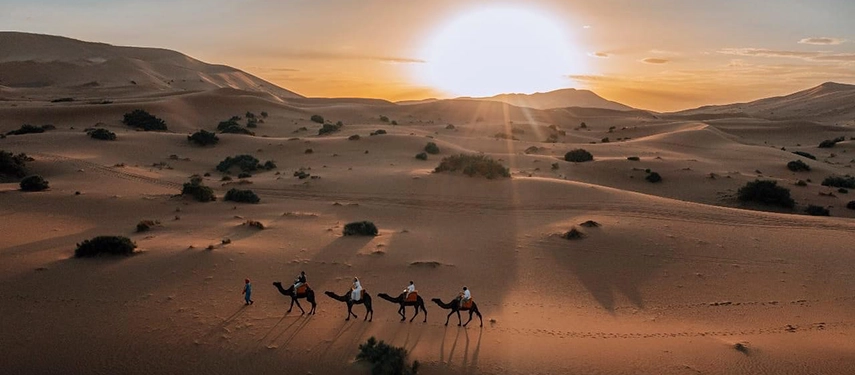 Camel caravan crossing the Erg Chebbi dunes at sunrise near Riad Madu Luxury Desert Camp.