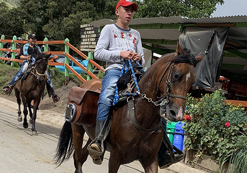 Horses on a Colombian journey with The Classic Safari Company