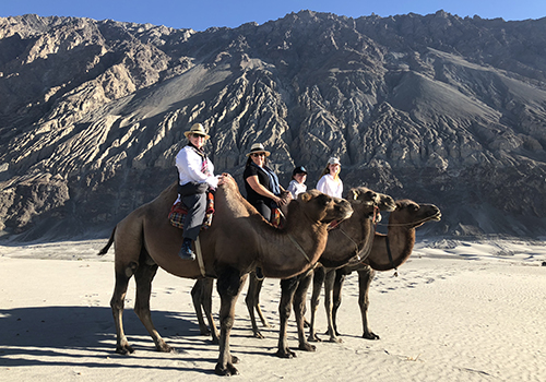 Ride Bactrian Camels in the Hunder Desert with The Classic Safari Company on your Indian Adventure