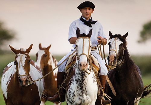 Gaucho on creolle horses in Cordoba Argentina