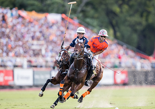 THE LAND OF THE GAUCHO