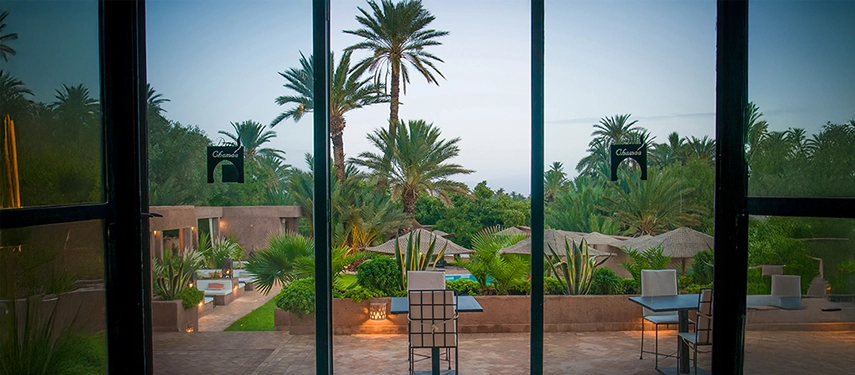 View through glass doors onto the palm-dotted garden and swimming pool.