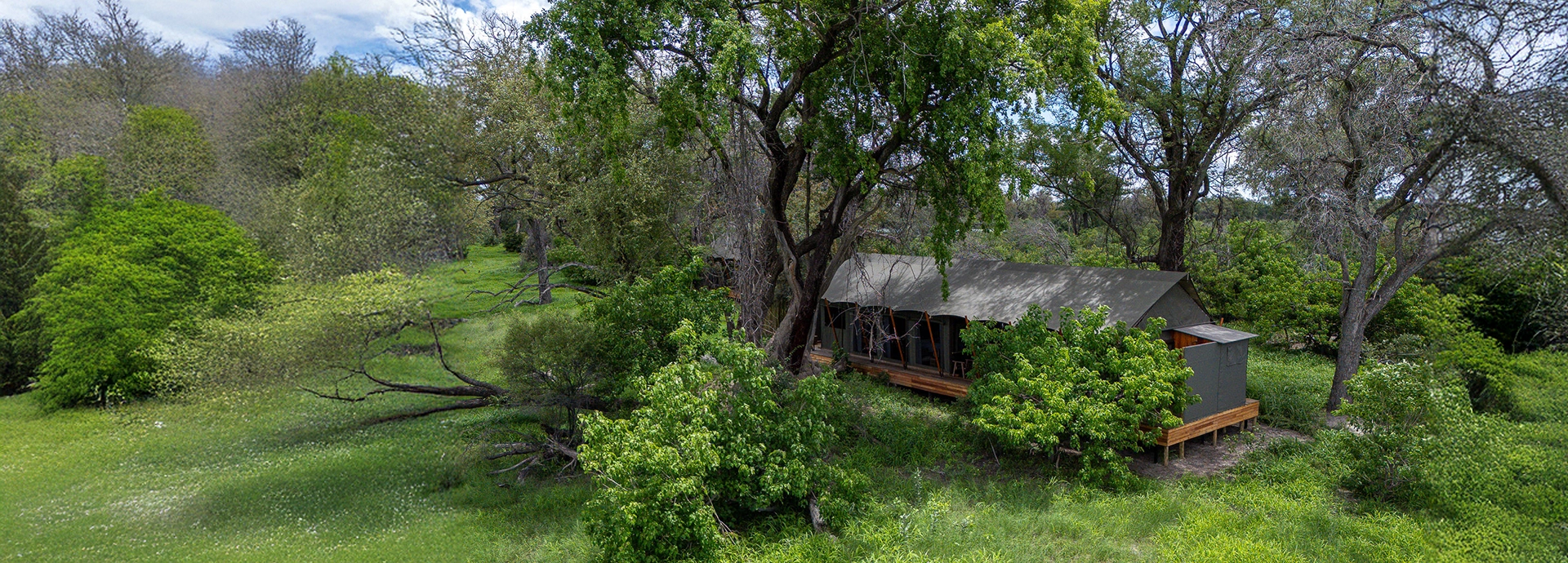 A tented suite sits beneath tall leafy trees on a lush green clearing overlooking the surrounding floodplain.
