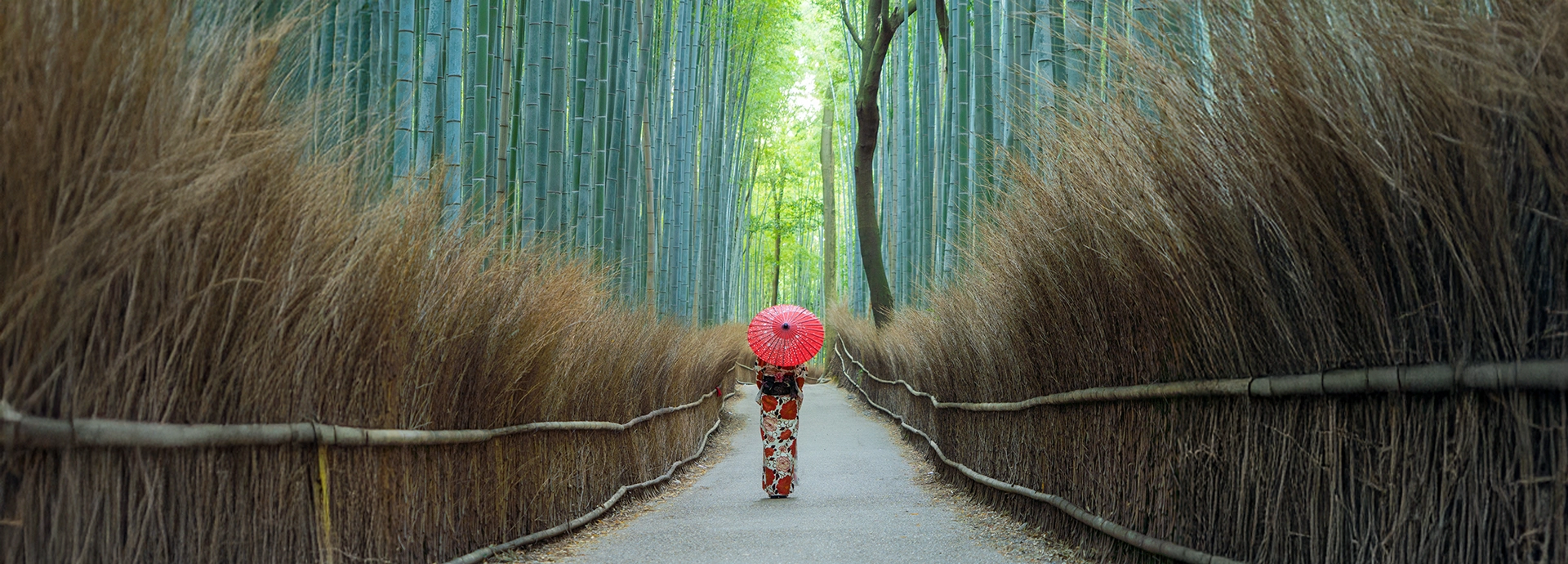 A woman in a traditional kimono walks beneath towering bamboo groves in Kyoto, capturing the quiet elegance and timeless beauty of Japan.