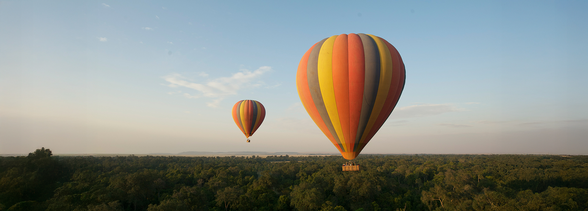 A wide-angle view of two hot air balloons soaring over the forested landscape of the Masai Mara.