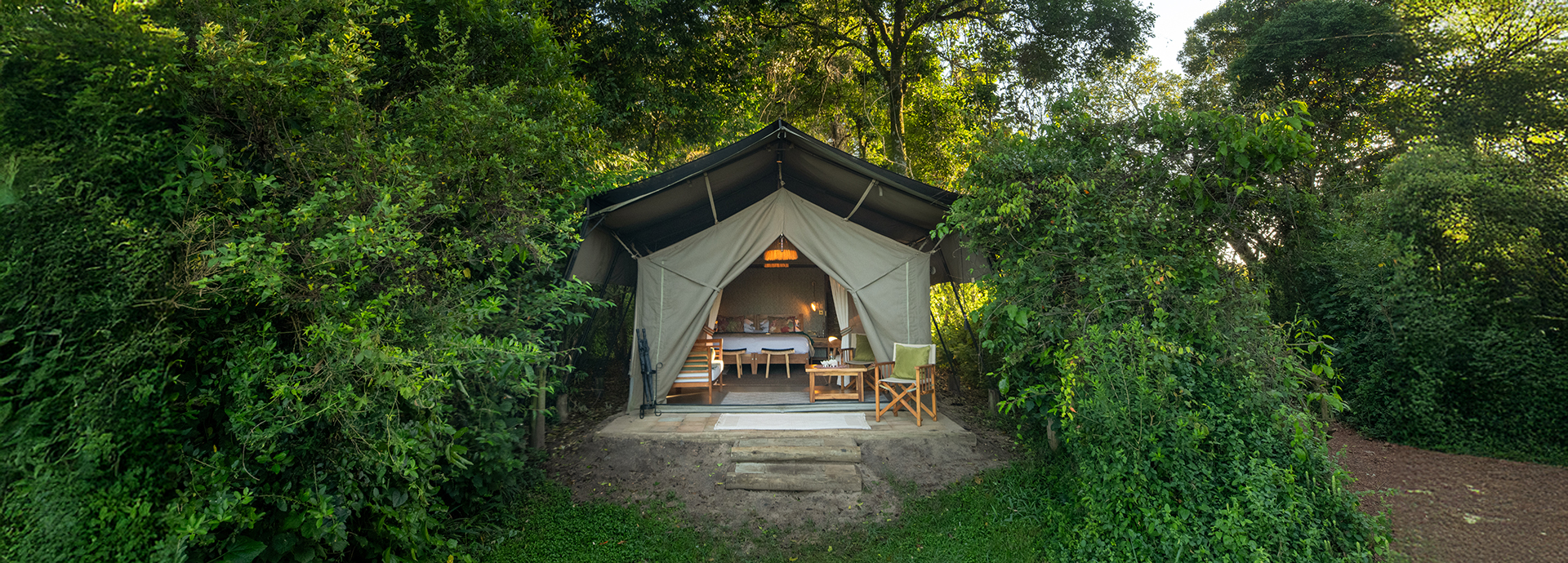 Canvas guest tent framed by dense greenery with its front flaps open to reveal a cosy interior.