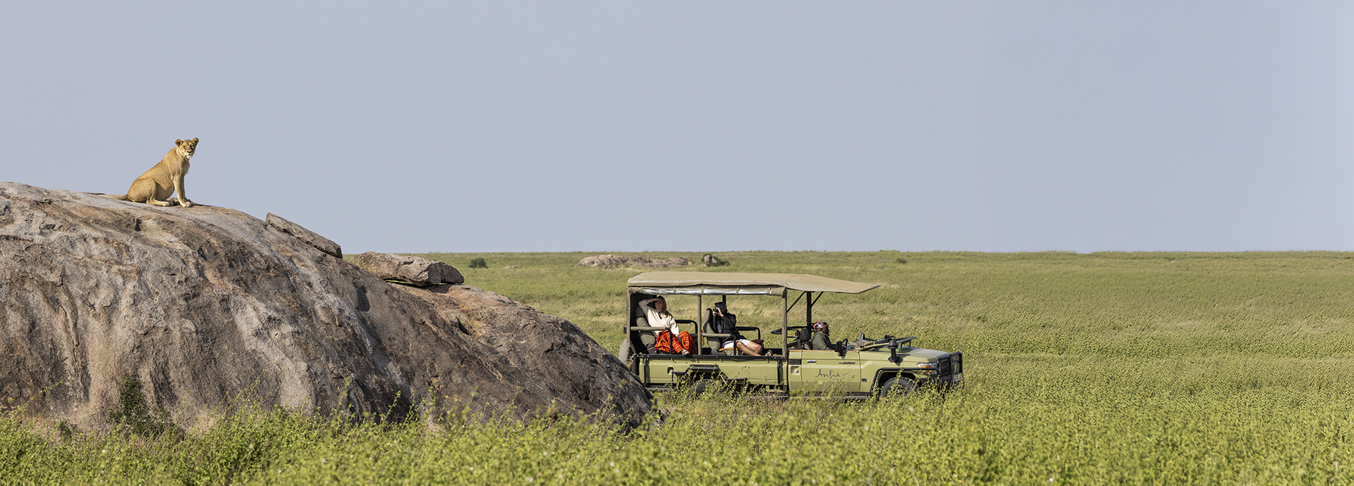 Guests on a game drive with Namiri Plains safari camp watch a cheetah on a rock.