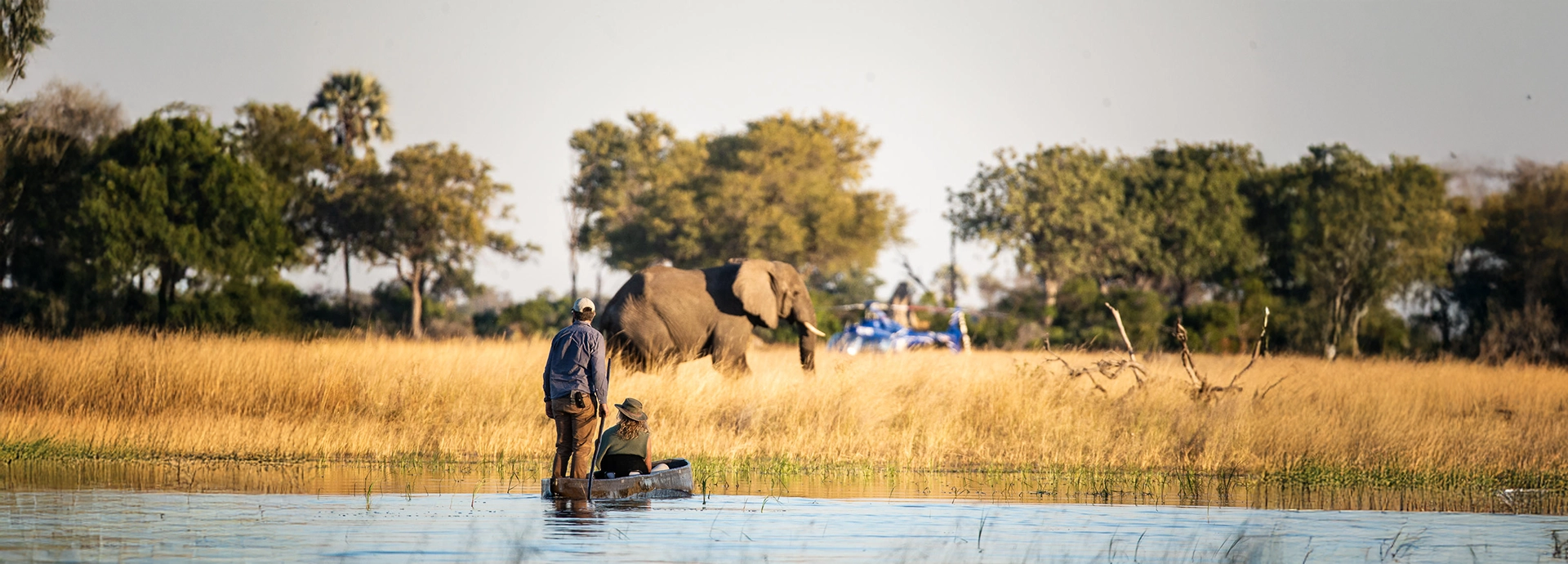 A mokoro glides across shallow delta waters as an elephant crosses the floodplain ahead, capturing a classic Okavango moment.