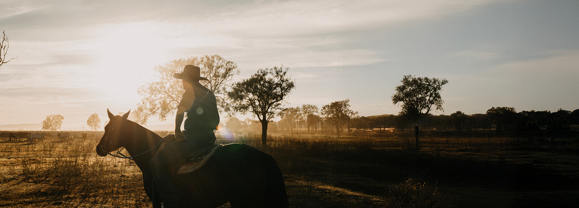Horseman riding through open fields at sunrise