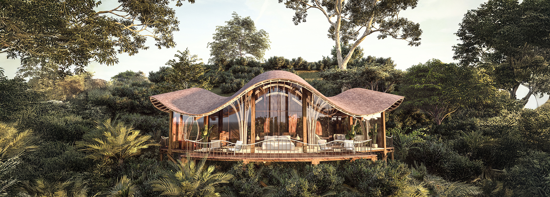 A baby mountain gorilla clings to a vine in the dense Bwindi rainforest.