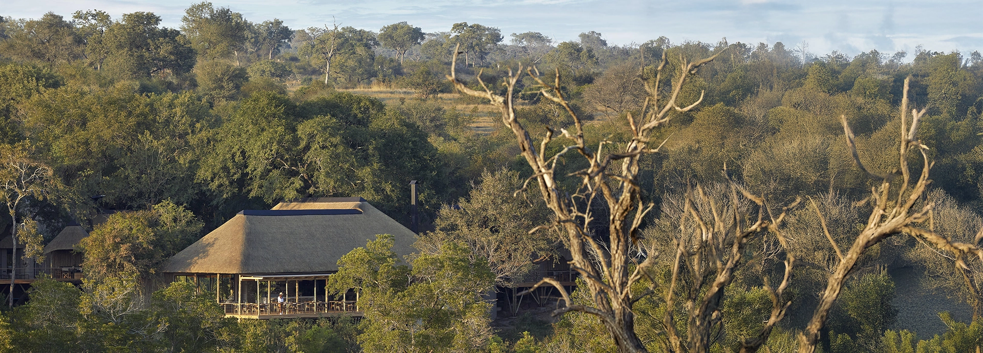 Thatched-roof main lodge of Londolozi Founders Camp surrounded by lush trees in the Sabi Sand Game Reserve.
