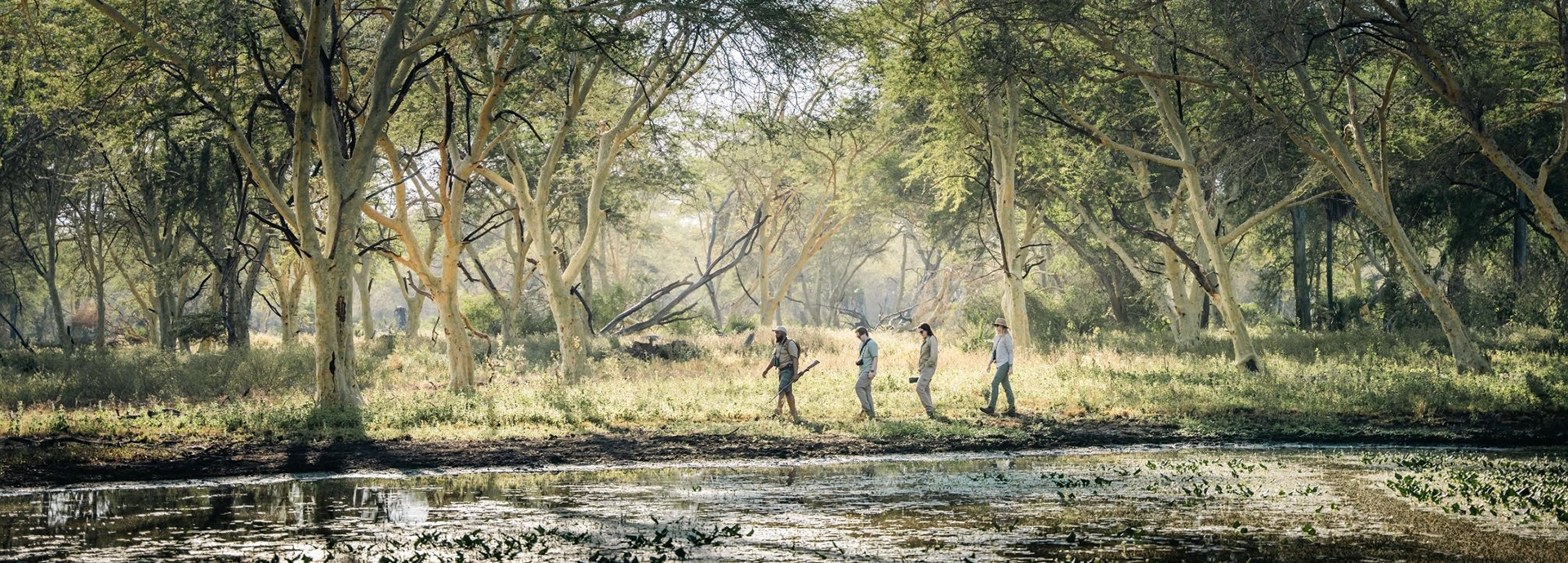 Guides and guests walk in single file along the edge of a forested waterway, experiencing Gorongosa on foot amid dappled light and tall trees.