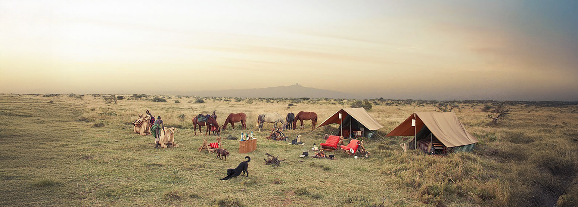 A fly camp is set up on open grassland at sunrise, with camels, horses, red lounge chairs, and Samburu guides preparing for a day’s journey.