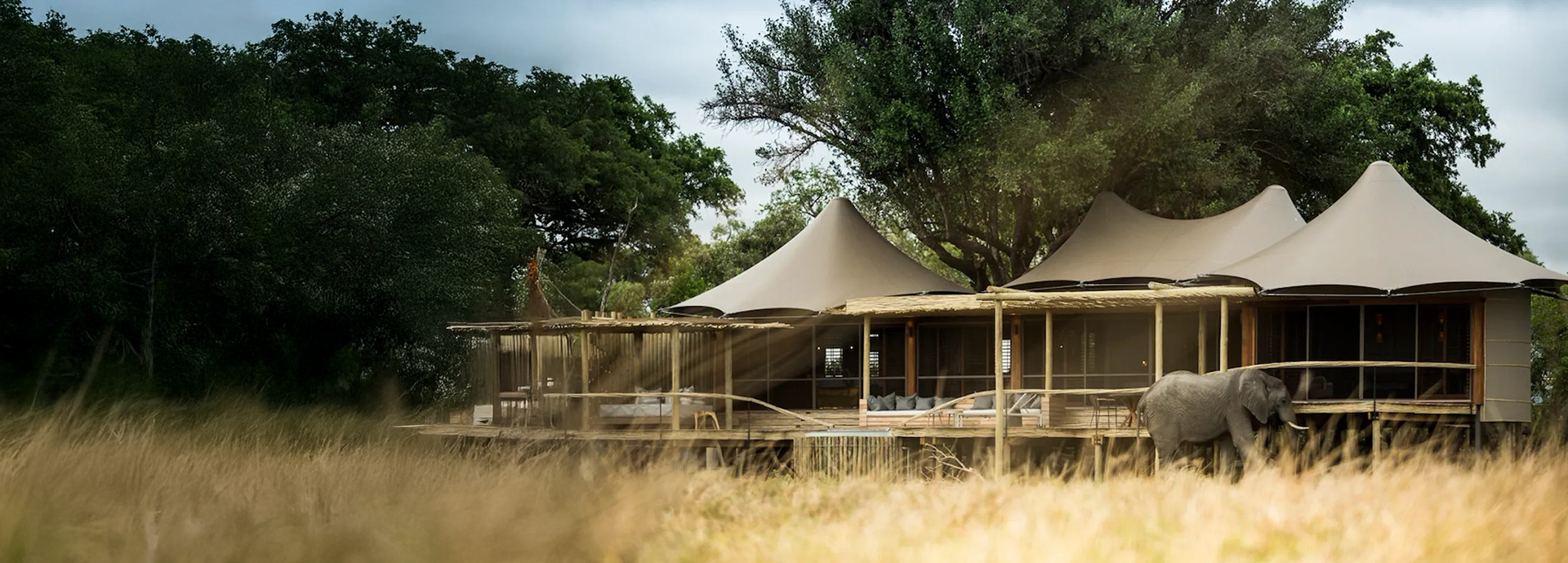 Exterior view of an elephant passing Little Mombo Camp, luxury safari camp in the Okavango Delta, Botswana