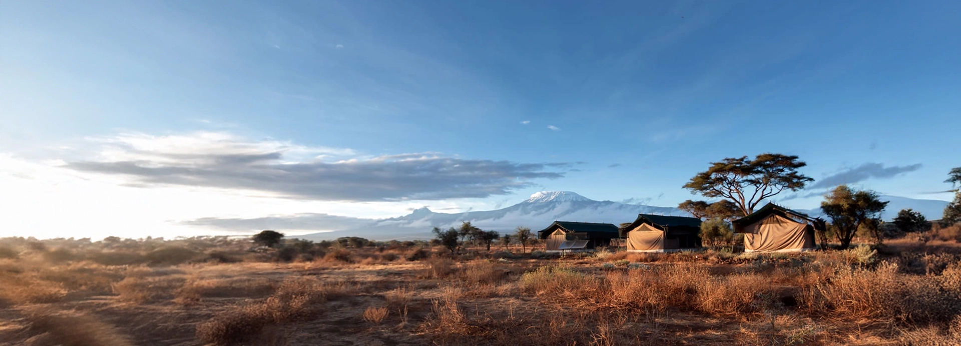 Safari tents set on golden grasslands with sweeping views of Mount Kilimanjaro at sunrise in Tanzania, showcasing classic wilderness accommodation.