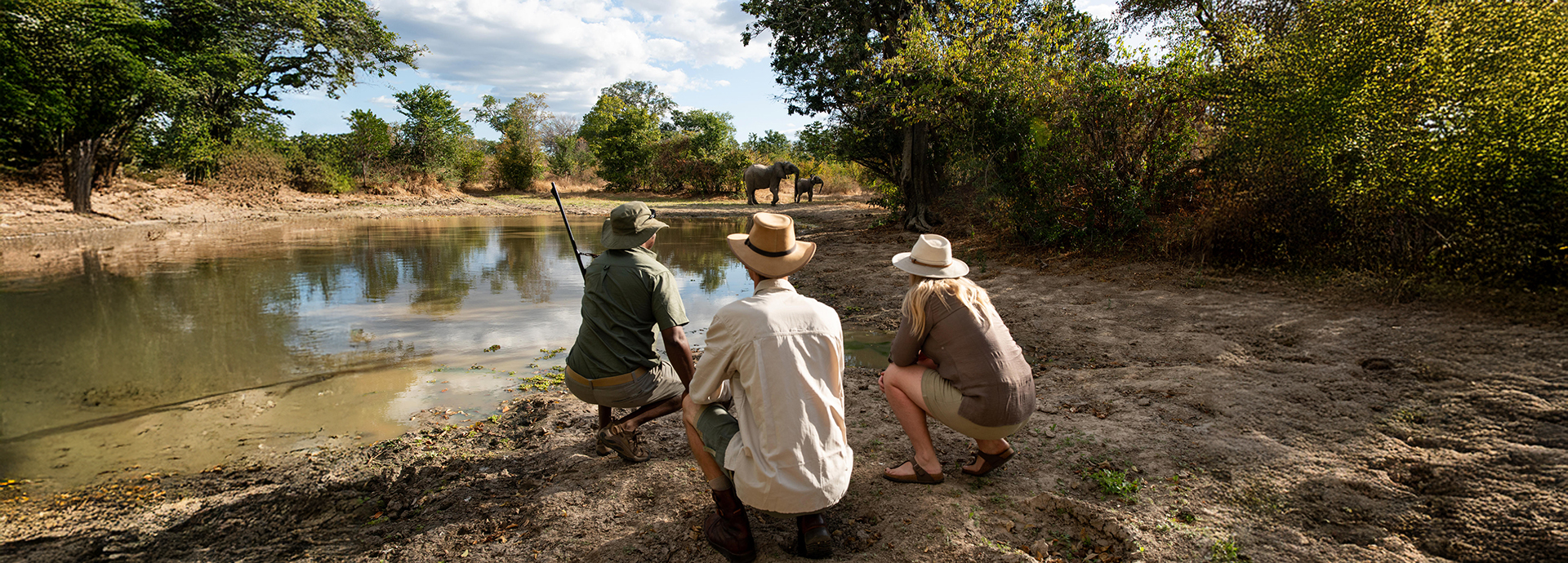 Three guests crouch with a guide beside a waterhole, observing elephants in the distance during a walking safari.
