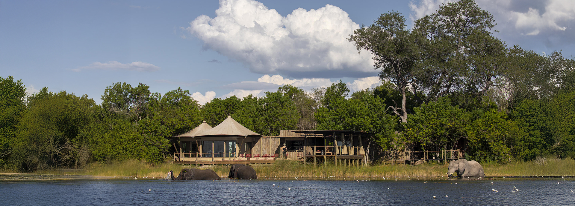 Little DumaTau tented safari camp on a riverbank with elephants in the water