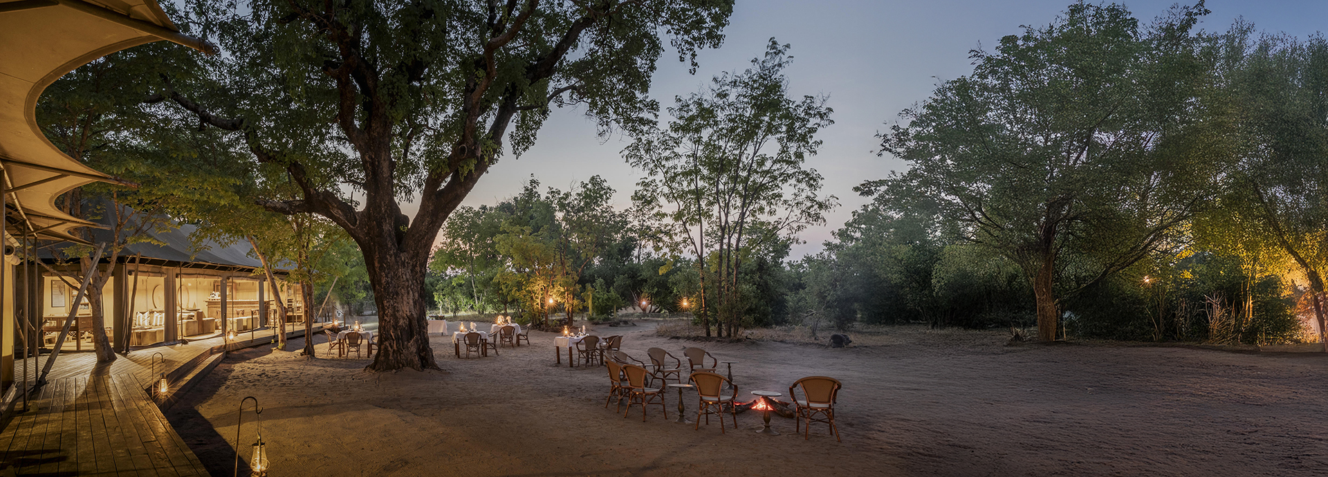 Evening view of the main camp area set beneath a large tree with lantern-lit dining.