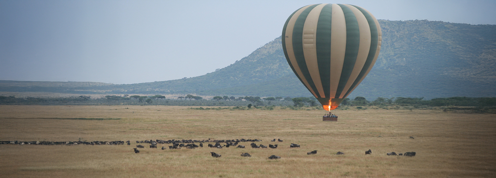 Balloon flight over the Serengeti's Great Migration