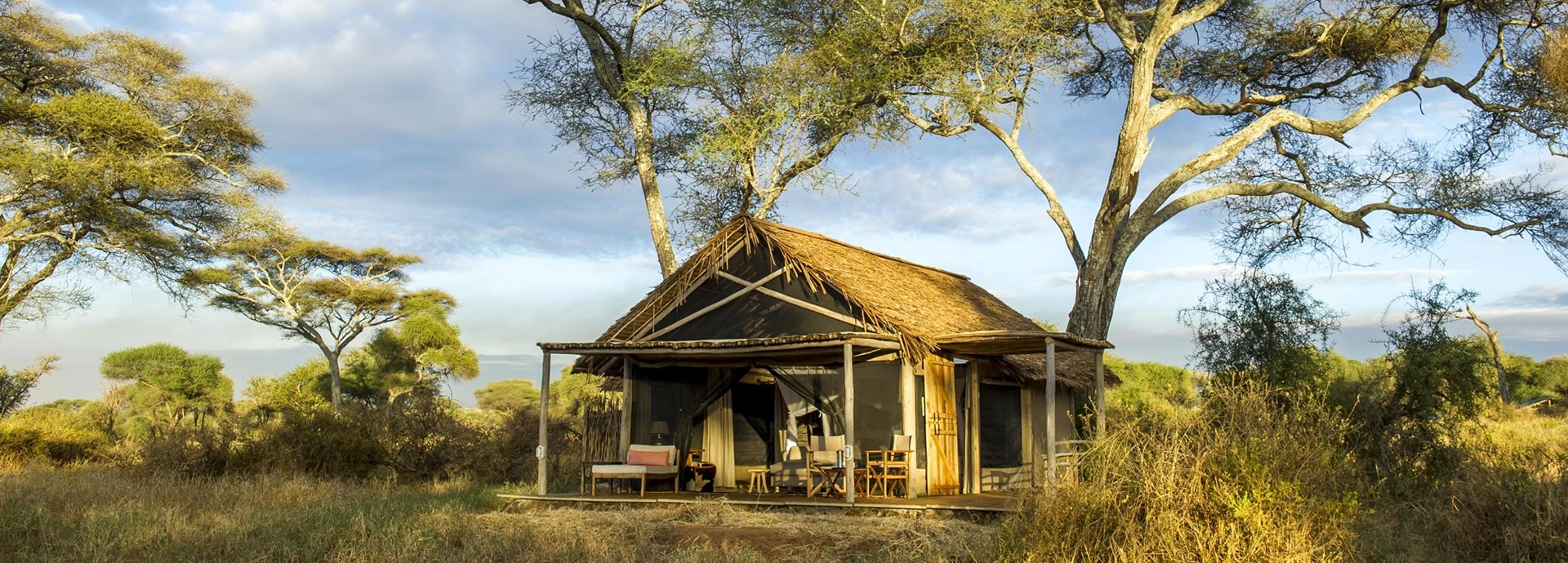 A thatched canvas chalet stands beneath elegant acacia trees, its veranda opening onto sunlit grasslands in the heart of Tarangire.