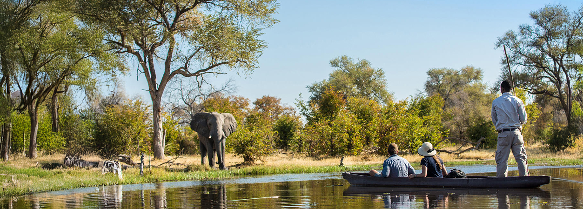 Guests in a traditional mokoro canoe glide past an elephant drinking at the water’s edge under the watchful eye of their guide.