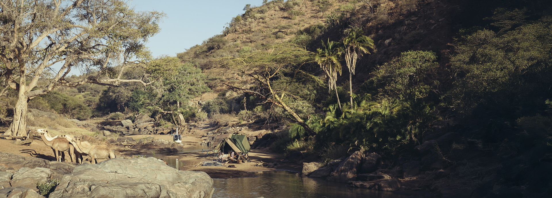 A fly camp is pitched beside a rocky riverbed with camels in the background and lush green trees lining the valley.