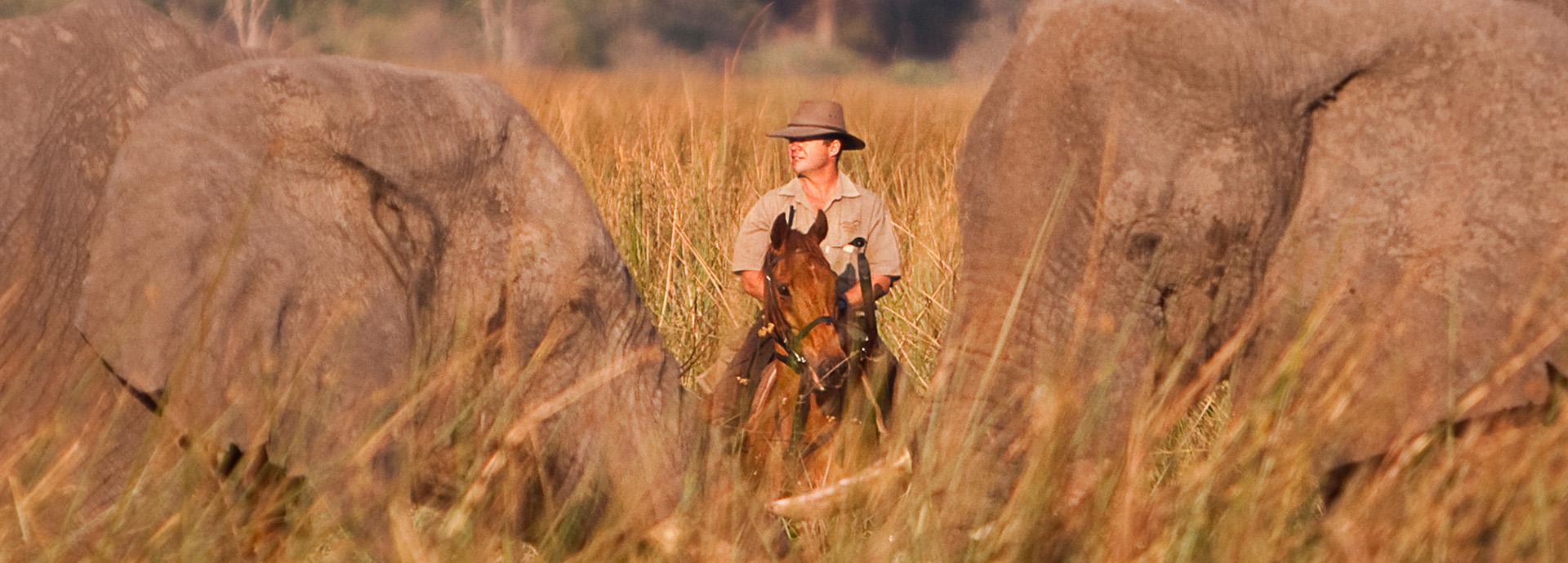 Julie McIntosh, swimming through the Okavango Delta on a horse riding safari with Okavango Horse Safaris