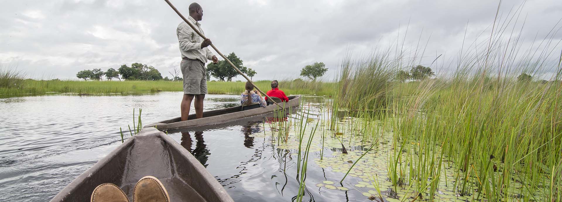 Enjoy being gentled poled down the Delta waterways on a mokoro on a Beagle Expedition safari