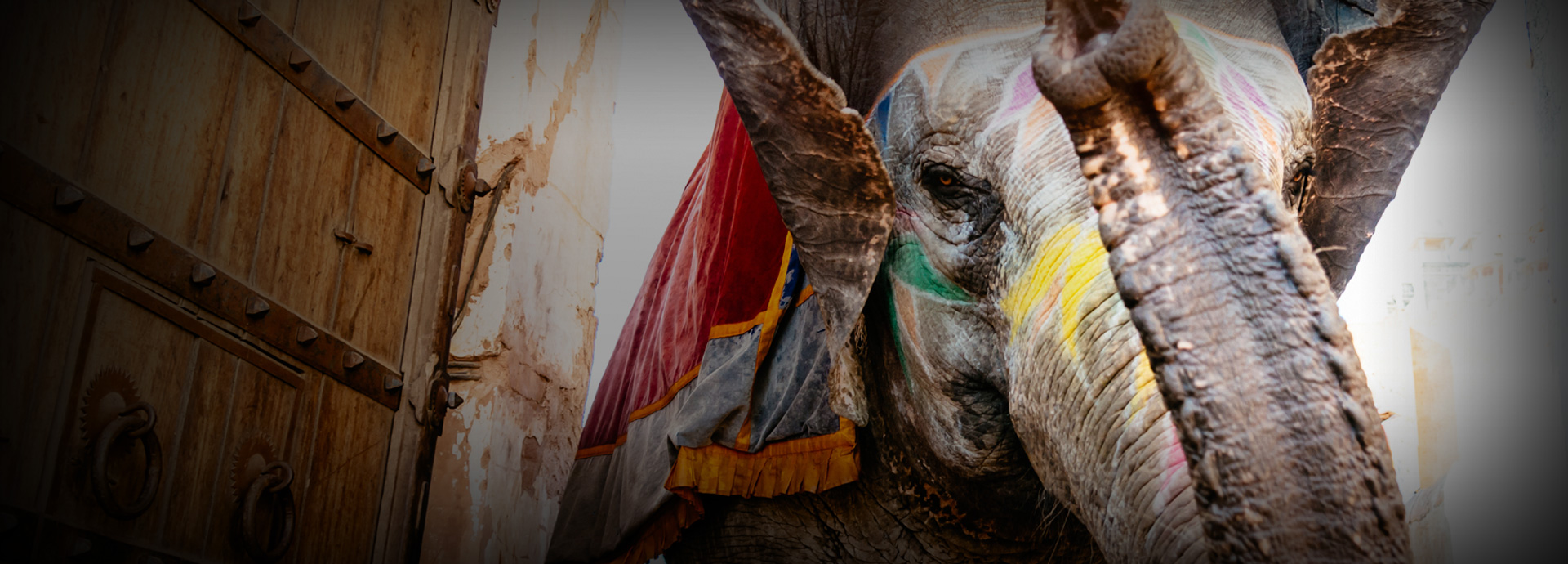 A painted elephant seen on a luxury tour of Rajasthan