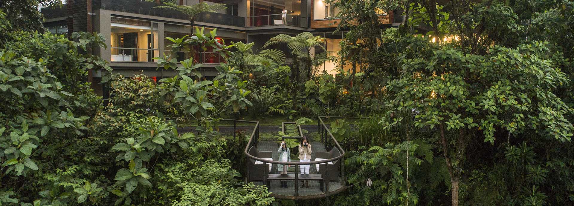 Mashpi Lodge in the equatorial Ecuadorian jungle