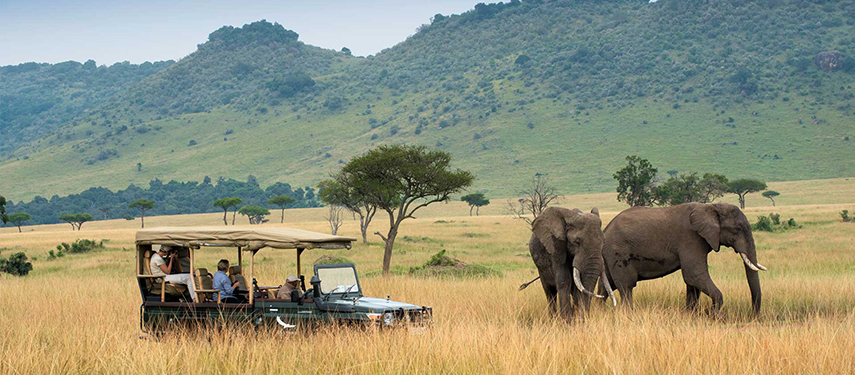 A Safari Game Drive In Kenya Watching An Elephant