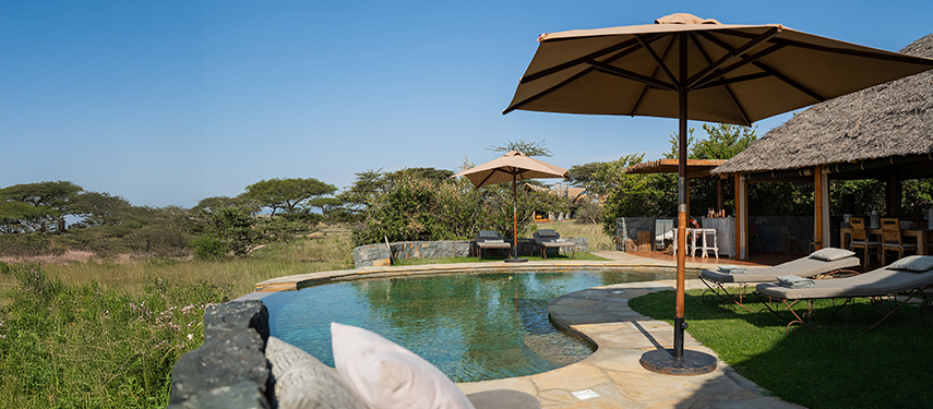 A swimming pool surrounded by the expansive bushland of Kenya's Masai Mara