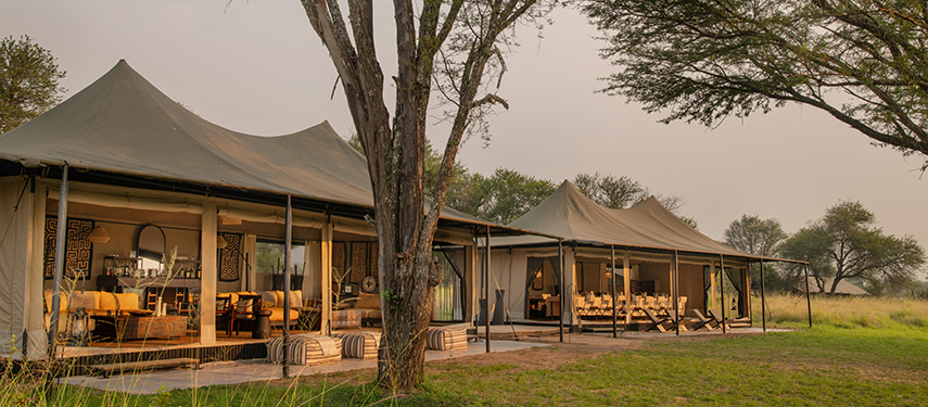 Exterior shot of the main area at Ubuntu with twin tents under shady trees