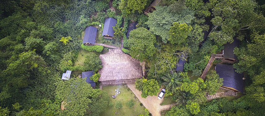 Aerial view of Buhoma Lodge showing forest cabins, central thatched roof area & pathways