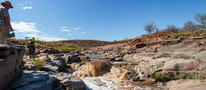 Walking safari in Hwange National Park