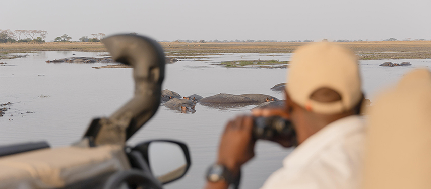 Safari guide watching hippo in HWANGE NATIONAL PARK, Zambia