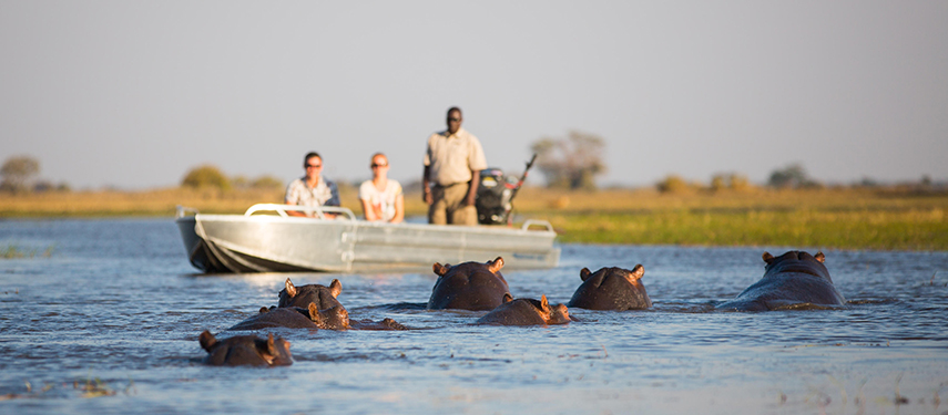 Guests watching hippo from a steel boat in Zambia